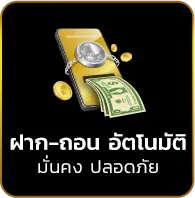 achi365 11