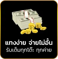 achi365 10