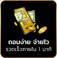 achi365 12